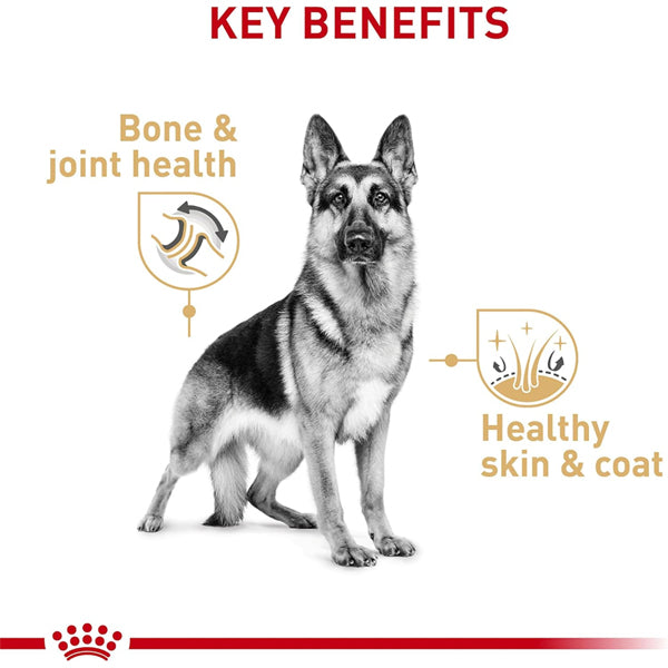 Royal Canin German Shepherd Loaf in Sauce Canned Dog Food (12 x 13.5oz) supports bone and joint health, plus a healthy skin and coat—essential benefits for your German Shepherd.