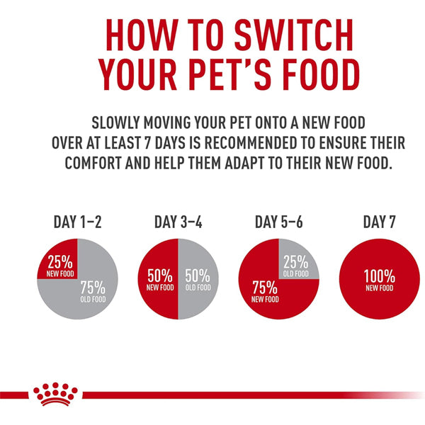 Infographic: Transition your dog to Royal Canin German Shepherd Loaf in Sauce over 7 days—start with 25%, gradually increase to 100% by day 7—to help your pet adjust and support bone and joint health.