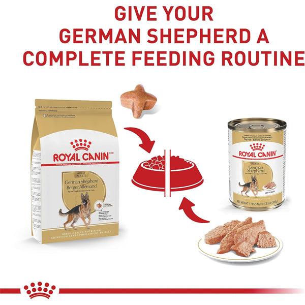 Royal Canin German Shepherd Loaf in Sauce Canned Dog Food (12 Pack) is part of a breed-specific diet routine designed to support joint and bone health.
