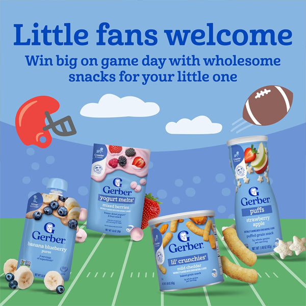 24 Pack - Gerber Stage 2 Baby Food, Apple Pear Peach Puree Pouch 3.5oz