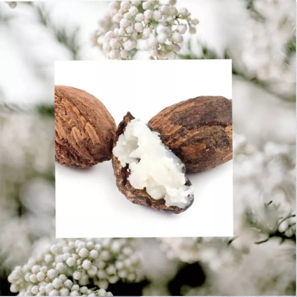 Three shea nuts, one cracked open to reveal white shea butter, are displayed in front of white flowers, emphasizing the nourishing benefits of Raw Sugars 4 Pack - Shea + Rice Flower Moisture Loving Lotion with natural Vitamin B complex.
