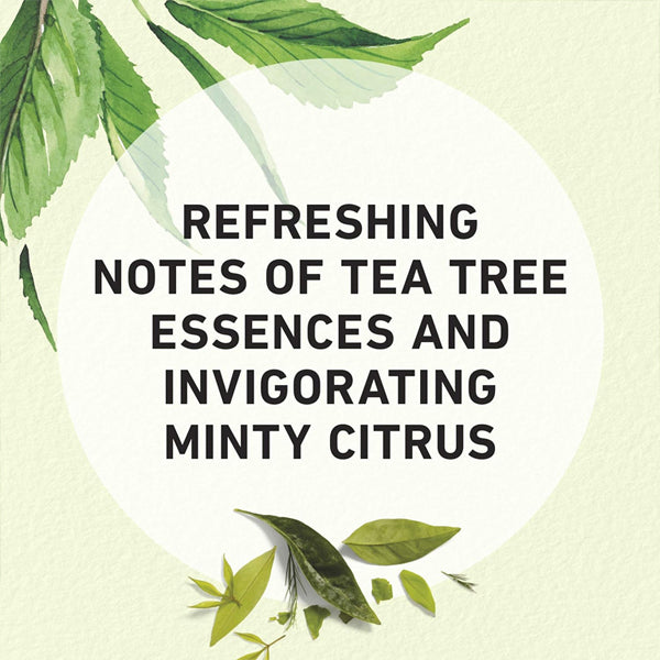 Text in a circle reads: Refreshing tea tree essence with minty citrus notes, surrounded by green leaves on a light background—an ideal design for your 2 Pack - Herbal Essences Purifying Conditioner Tea Tree 29.2oz.