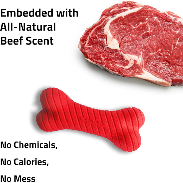 The Playology 2 Pack Dual Layer Dog Toy (Medium) is shaped like a bone, shown next to raw beef. These durable toys have an all-natural beef scent with no chemicals, calories, or mess.