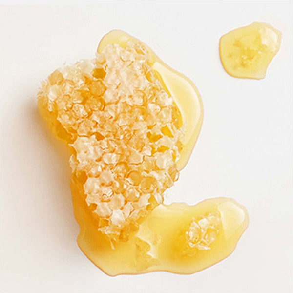 A luscious honeycomb on a white surface embodies the nourishing power of Garnier Whole Blends Repairing Honey Extracts Mask, available in a 2 Pack (10.1oz each).
