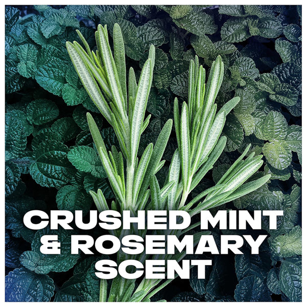 A sprig of rosemary on mint leaves with Mint & Rosemary Scent text highlights the fresh aroma in AXE 2 Pack Deodorant for Men Phoenix Mint & Rosemary 2.7oz each.