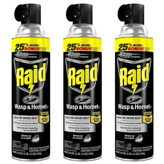 3 Pack - Raid Wasp and Hornet Killer 22 Foot Spray 17.5oz