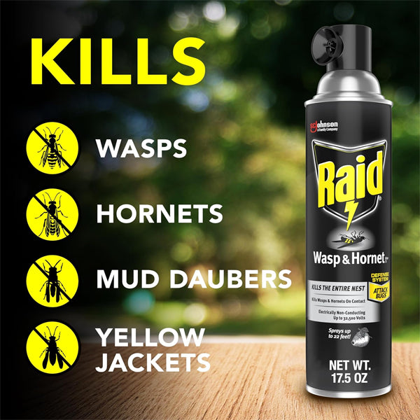 3 Pack - Raid Wasp and Hornet Killer 22 Foot Spray 17.5oz