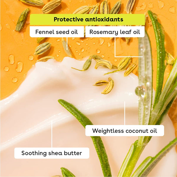 Close-up of eos 100% Natural & Organic Lip Balm Sticks Vanilla Bean—blended with fennel seed oil, rosemary leaf oil, coconut oil, shea butter, and antioxidants for lasting moisture. 3 Pack, 2 sticks each.