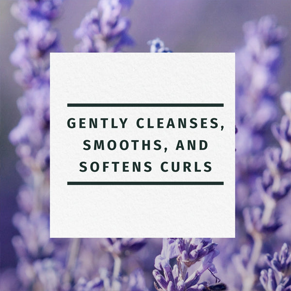 Text on a white square reads Gently cleanses, smooths, and softens curls with Herbal Essences Jojoba Oil & Lavender Curls Shampoo 3 Pack (29.2oz), over a blurred background of purple lavender flowers.