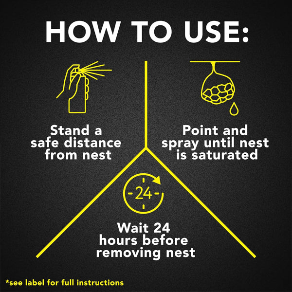 3 Pack - Raid Wasp and Hornet Killer 22 Foot Spray 17.5oz