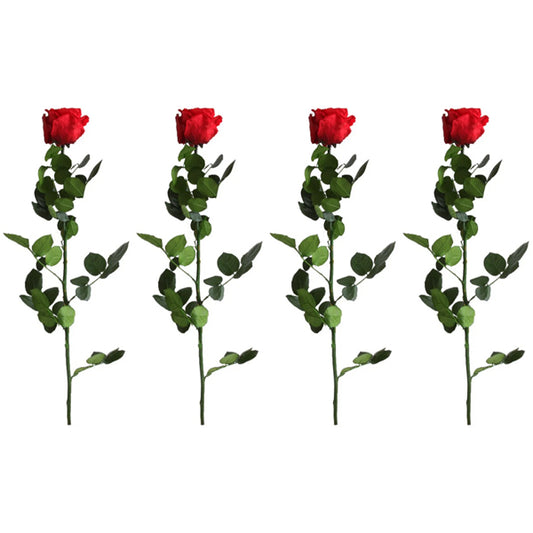 The Verdissimo 4 Pack Preserved Standard Long Stem Red Roses features four red roses with green stems and leaves, arranged in a row against a white background—ideal for indoor display.