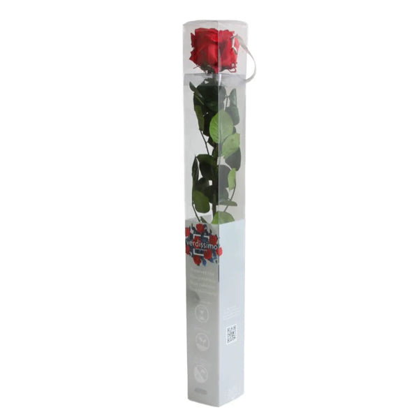 The Verdissimo 4 Pack Preserved Standard Long Stem Red Roses features elegant red blooms with green leaves in a clear rectangular box with white base and branding—perfect for indoor display and low-maintenance beauty.