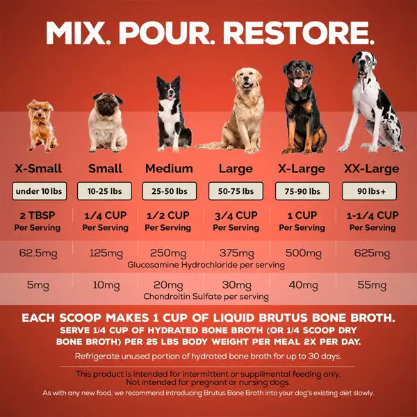 4 Pack - Brutus Broth Beef Bone Broth Powder Hip & Joint with Glucosamine 5 Count Brutus