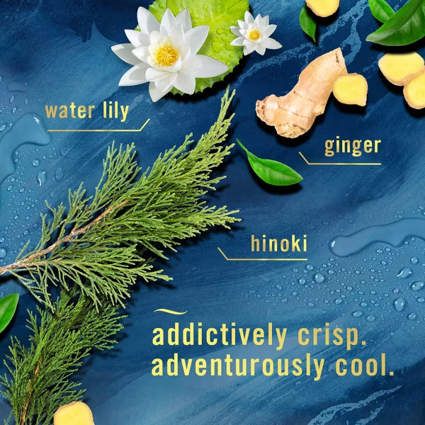 5 Pack - Febreze Car Air Freshener Vent Clip Ocean Scent 3 Count Each Febreze