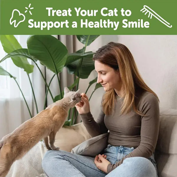 5 Pack - WHIMZEES Wellness Cat Dental Treats, Chicken and Salmon Flavor 4.5oz Whimzees