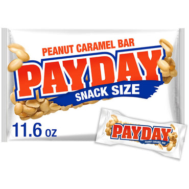 6 Pack - Payday Peanut Caramel Snack Size Candy Bars 11.6oz