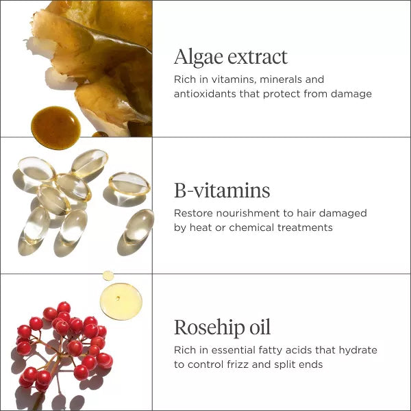 Briogeo Hair Care Don't Despair Repair! Strengthen + Repair Minis Hair Kit