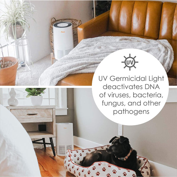 Two home scenes show the Crane Air Purifier with True HEPA Filter Germicidal UV Light EE-5068 by Crane near a couch and a dog bed, while text explains its UV light deactivates DNA of viruses, bacteria, fungus, and other pathogens.