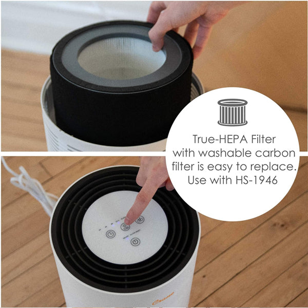 Two-panel image: Top shows a hand lifting the True HEPA filter from the Crane Air Purifier with Germicidal UV Light EE-5068. Bottom shows a finger pressing a button on the Crane air purifier’s control panel.