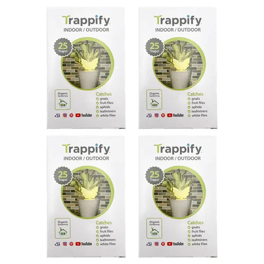 Four boxes of Trappify 4 Pack Sticky Butterfly Shape Gnat Traps for House Indoor—100 traps total—are arranged in a grid, each box showing a potted plant and listing pests these organic gardening sticky bug cards catch.