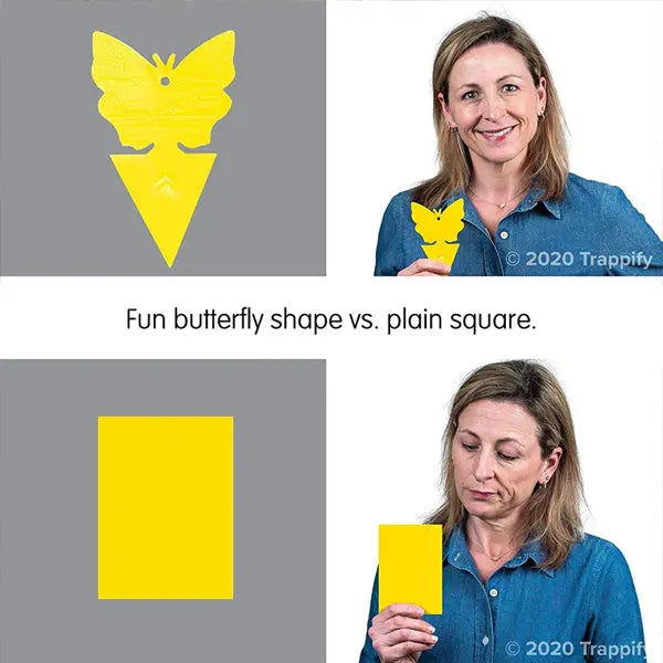 In the top image, a woman holds a yellow butterfly-shaped gnat trap from the Trappify 4 Pack (100 traps total) set; in the bottom image, she holds a yellow square, showing two effective pest control tools for organic gardening.