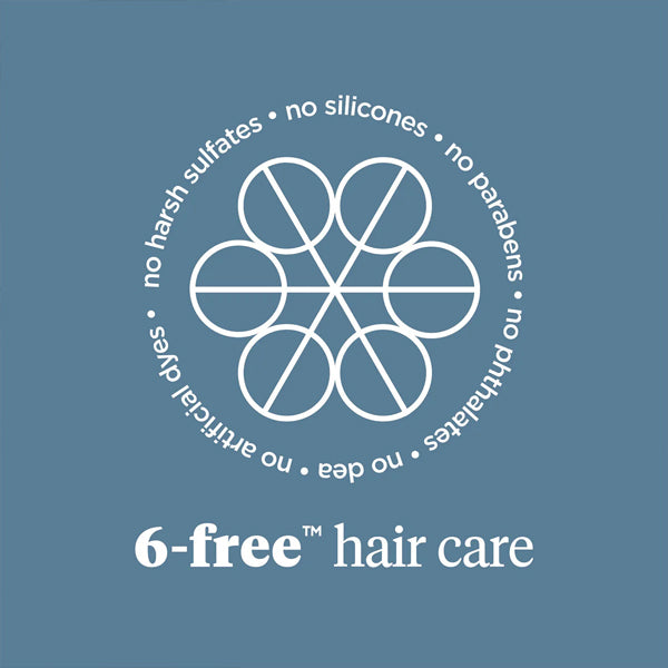 Briogeo Scalp Revival Soothe + Detoxify Hair Care Minis