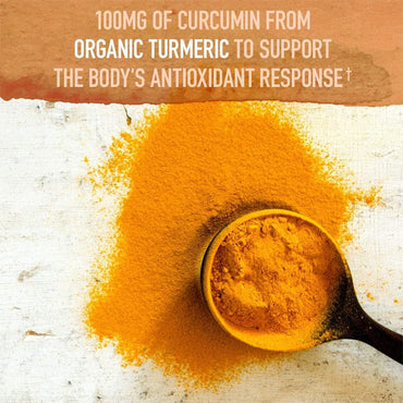 Garden of Life Organics Extra Strength Turmeric 120 Vegan Tablets