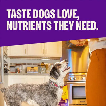 Wellness Complete Health Small Breed Adult Dry Dog Food Turkey Chicken Salmon 11lbs Wellness