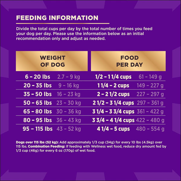 Wellness CORE+ Adult Dry Dog Food Freeze Dried Pieces Turkey and Chicken 10lb Wellness