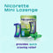 12 Pack - Nicorette 2 mg Mint Flavor Mini Lozenges 20 Count Each