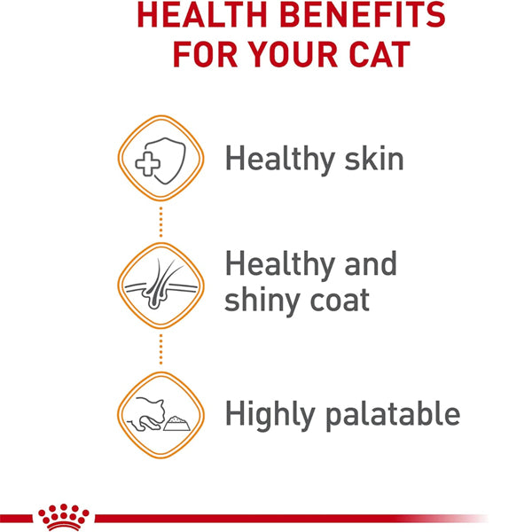 24 Count - Royal Canin Feline Care Nutrition Hair & Skin Care Wet Cat Food 5.1oz