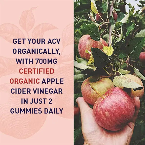2 Pack - Garden of Life Organic Apple Cider Vinegar Probiotic Gummies 60 Count Garden of Life
