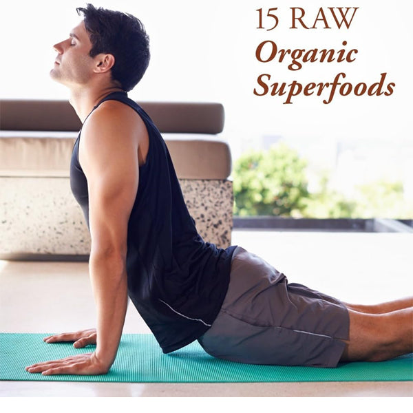 2 Pack - Garden of Life Raw Organic Fiber Powder Superfoods 10 Servings