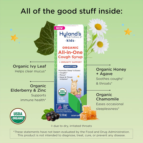 2 Pack - Hyland's Kids Organic All in One Cough Syrup Nighttime Grape 4oz