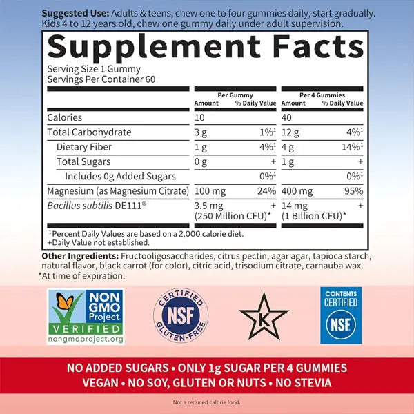 2 Pack - Garden of Life Magnesium Citrate Supplement Raspberry Gummies 60 Count Garden of Life