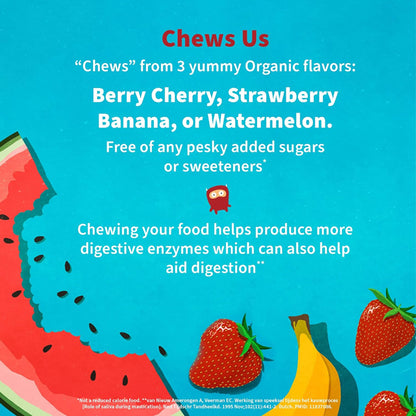 2 Pack - Garden of Life Dr. Formulated Probiotics Organic Kids+ Gummy Berry Cherry 30 Count