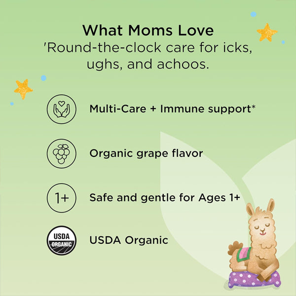 2 Pack - Hyland's Kids Organic All in One Cough Syrup Nighttime Grape 4oz