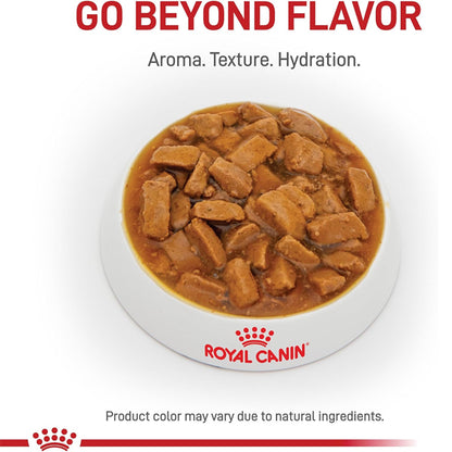 6 Pack - ROYAL CANIN Veterinary Diet Canine Renal Support D Adult Thin Slices in Gravy Dog Food 13oz Royal Canin