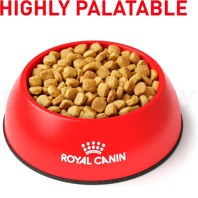 ROYAL CANIN Veterinary Diet Canine Ultamino Adult Dry Dog Food, 8.8 lb Bag Royal Canin