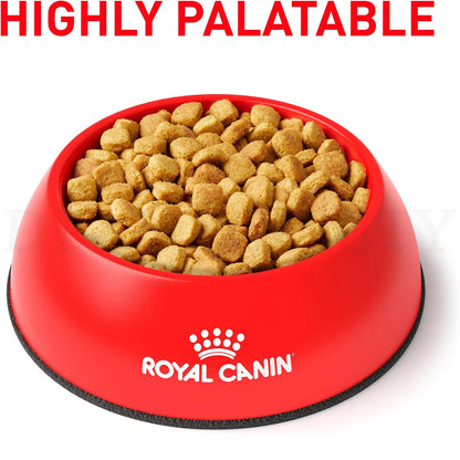 ROYAL CANIN Veterinary Diet Canine Ultamino Adult Dry Dog Food, 8.8 lb Bag Royal Canin