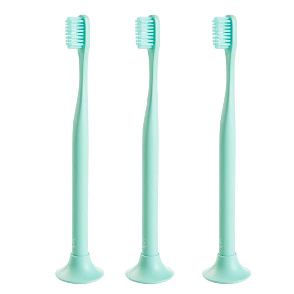 3 Pack - Bogobrush Reusable Toothbrush and Stand Soft Nylon Bristles Mint Green