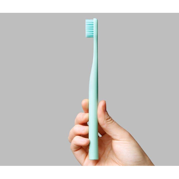 3 Pack - Bogobrush Reusable Toothbrush and Stand Soft Nylon Bristles Mint Green