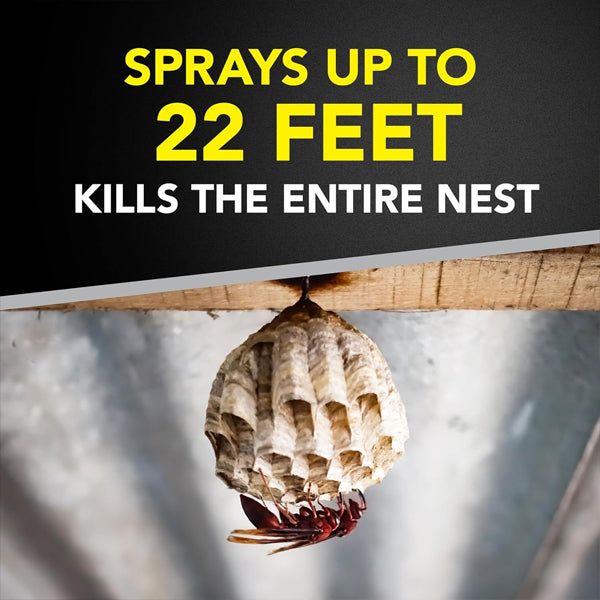 3 Pack - Raid Wasp and Hornet Killer 22 Foot Spray 17.5oz