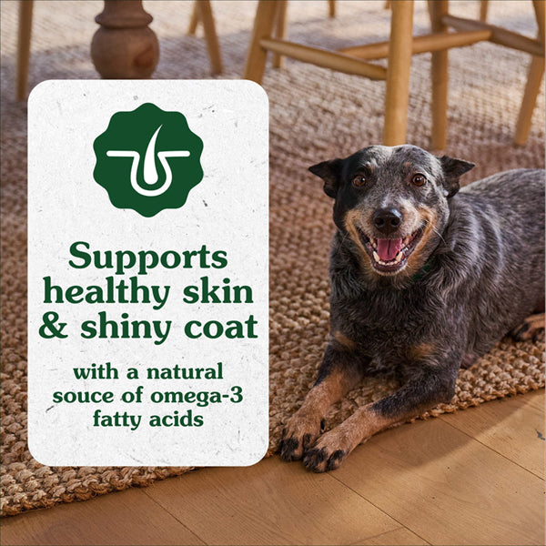 3 Pack - Greenies Dog Skin and Coat Supplements Chicken Flavor 40 Count Each Greenies