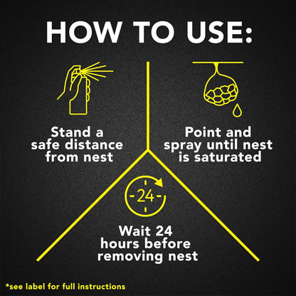 3 Pack - Raid Wasp and Hornet Killer 22 Foot Spray 17.5oz