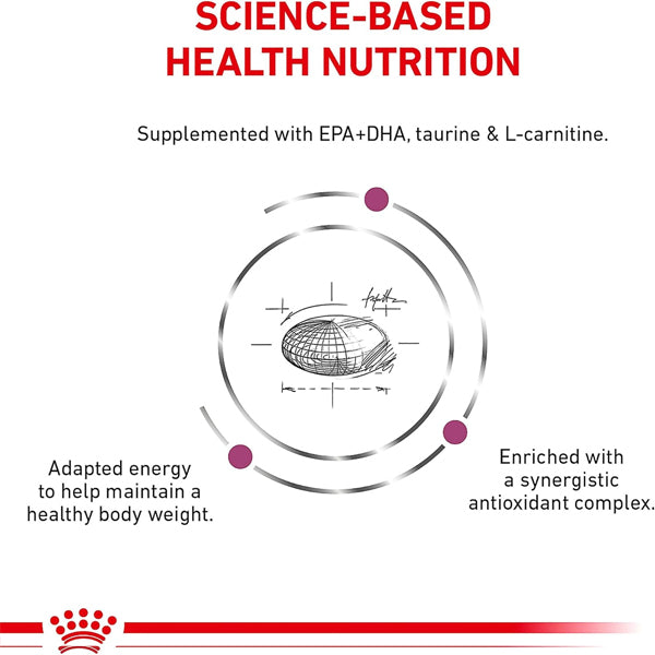 6 Pack - ROYAL CANIN Veterinary Diet Canine Renal Support D Adult Thin Slices in Gravy Dog Food 13oz Royal Canin