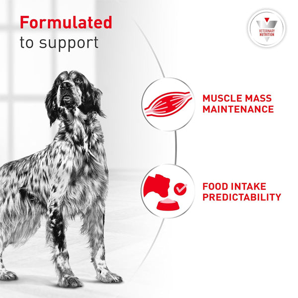6 Pack - ROYAL CANIN Veterinary Diet Canine Glycobalance Adult Loaf in Sauce Dog Food 13.4oz Royal Canin