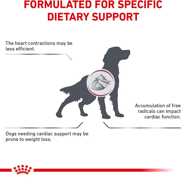 6 Pack - ROYAL CANIN Veterinary Diet Canine Renal Support D Adult Thin Slices in Gravy Dog Food 13oz Royal Canin