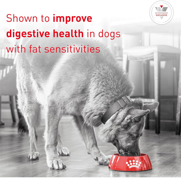 6 Pack - ROYAL CANIN Canine Gastrointestinal Adult Wet Dog Food 13.5oz Royal Canin
