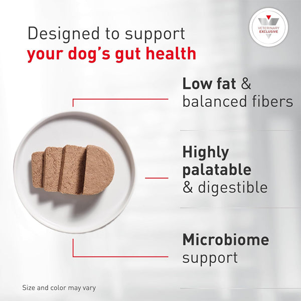 6 Pack - ROYAL CANIN Canine Gastrointestinal Adult Wet Dog Food 13.5oz Royal Canin